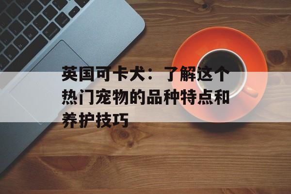 英国可卡犬：了解这个热门宠物的品种特点和养护技巧-第1张图片-