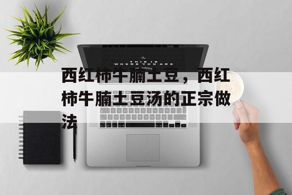 西红柿牛腩土豆，西红柿牛腩土豆汤的正宗做法-第1张图片-
