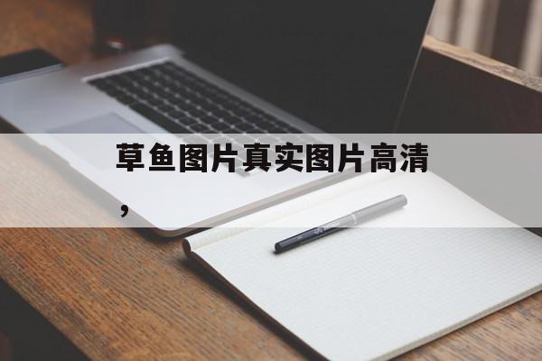 草鱼图片真实图片高清，-第1张图片-