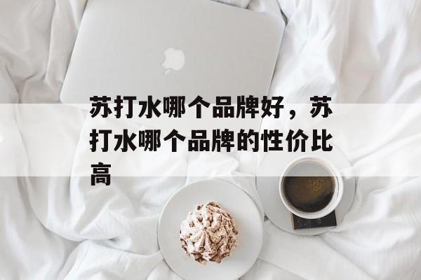 苏打水哪个品牌好，苏打水哪个品牌的性价比高-第1张图片-