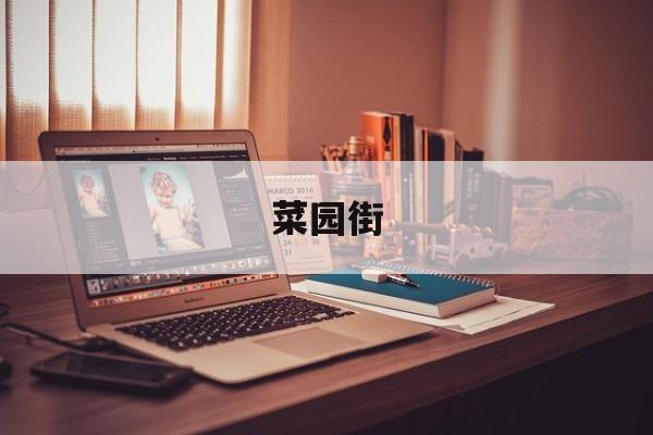 菜园街-第1张图片-