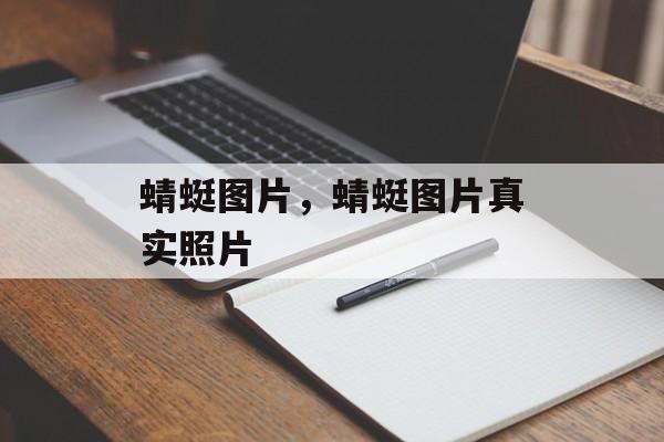 蜻蜓图片，蜻蜓图片真实照片-第1张图片-