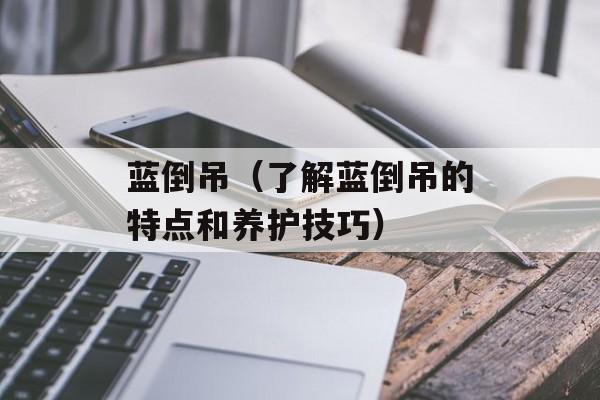 蓝倒吊（了解蓝倒吊的特点和养护技巧）-第1张图片-