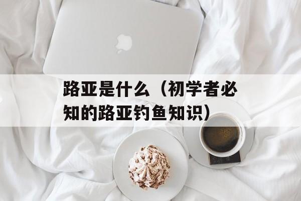 路亚是什么（初学者必知的路亚钓鱼知识）-第1张图片-