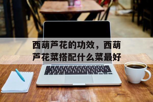 西葫芦花的功效，西葫芦花菜搭配什么菜最好-第1张图片-