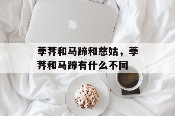 荸荠和马蹄和慈姑，荸荠和马蹄有什么不同-第1张图片-