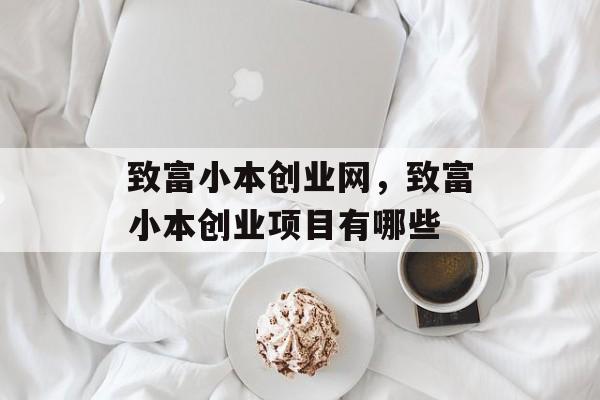 致富小本创业网，致富小本创业项目有哪些-第1张图片-