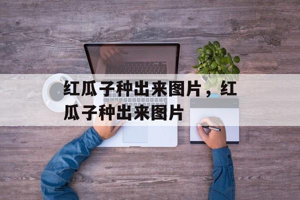 红瓜子种出来图片，红瓜子种出来图片-第1张图片-