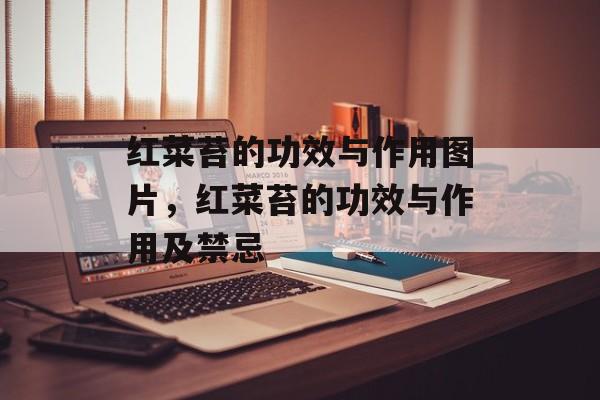 红菜苔的功效与作用图片，红菜苔的功效与作用及禁忌-第1张图片-