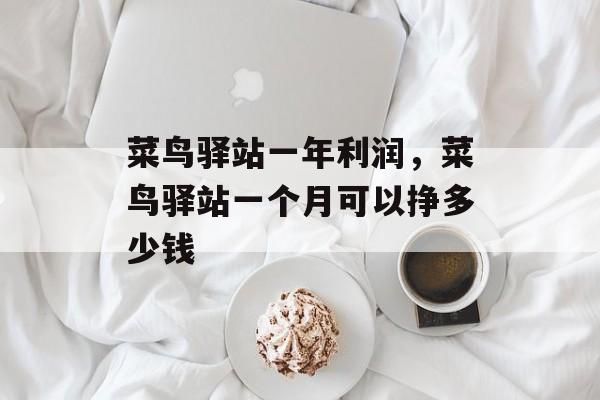 菜鸟驿站一年利润，菜鸟驿站一个月可以挣多少钱-第1张图片-