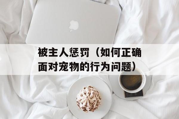 被主人惩罚（如何正确面对宠物的行为问题）-第1张图片-
