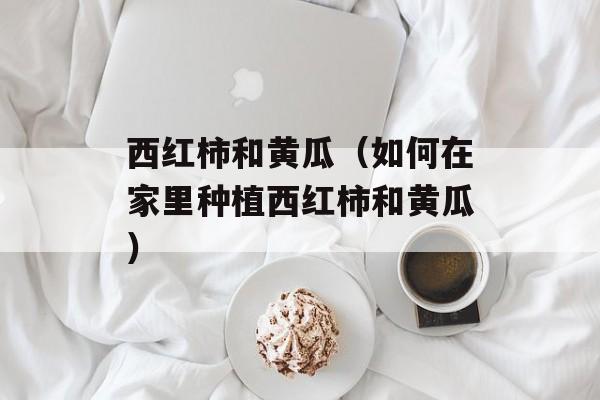 西红柿和黄瓜（如何在家里种植西红柿和黄瓜）-第1张图片-
