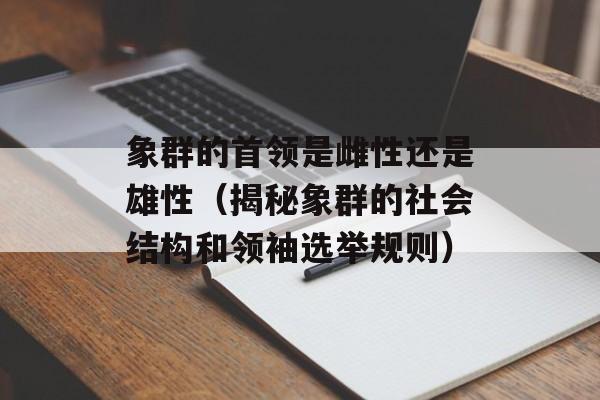 象群的首领是雌性还是雄性（揭秘象群的社会结构和领袖选举规则）-第1张图片-