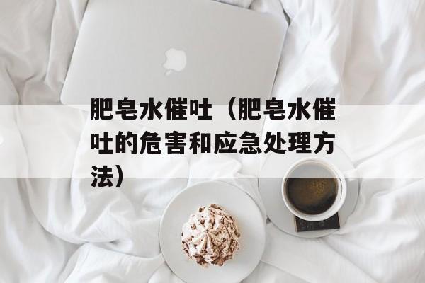 肥皂水催吐（肥皂水催吐的危害和应急处理方法）-第1张图片-