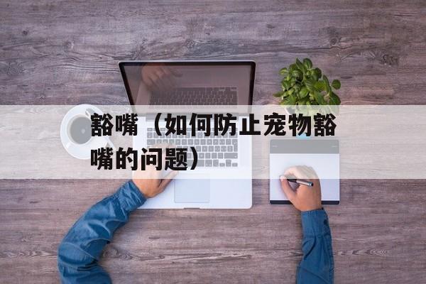 豁嘴（如何防止宠物豁嘴的问题）-第1张图片-
