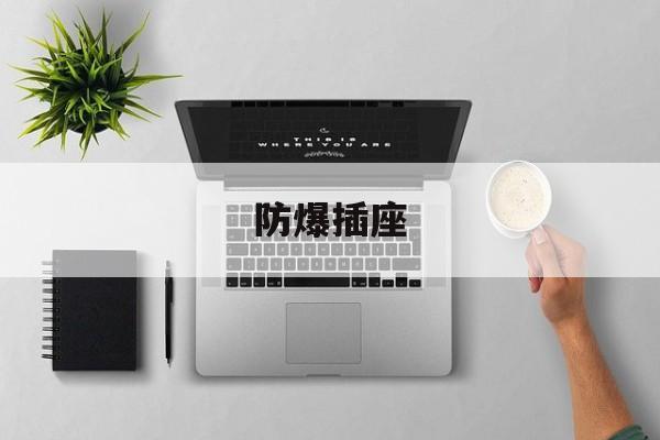 防爆插座-第1张图片-