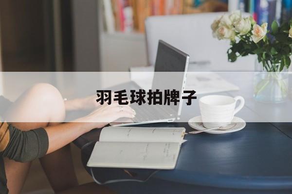 羽毛球拍牌子-第1张图片-