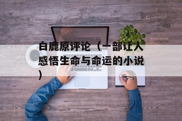 白鹿原评论（一部让人感悟生命与命运的小说）-第1张图片-