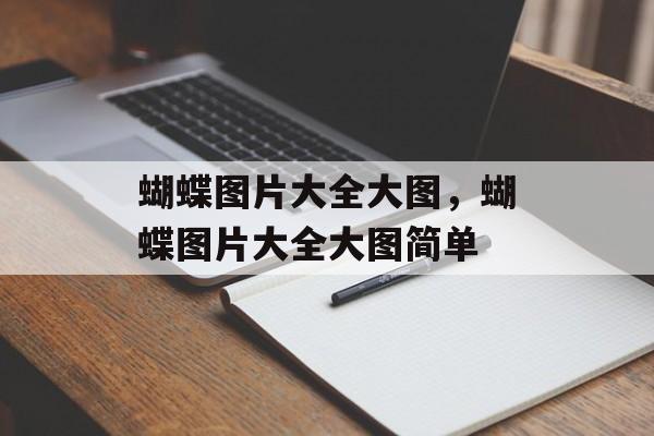 蝴蝶图片大全大图，蝴蝶图片大全大图简单-第1张图片-