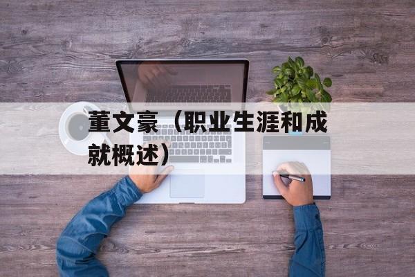 董文豪（职业生涯和成就概述）-第1张图片-