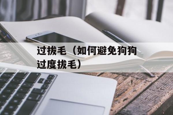过拔毛（如何避免狗狗过度拔毛）-第1张图片-
