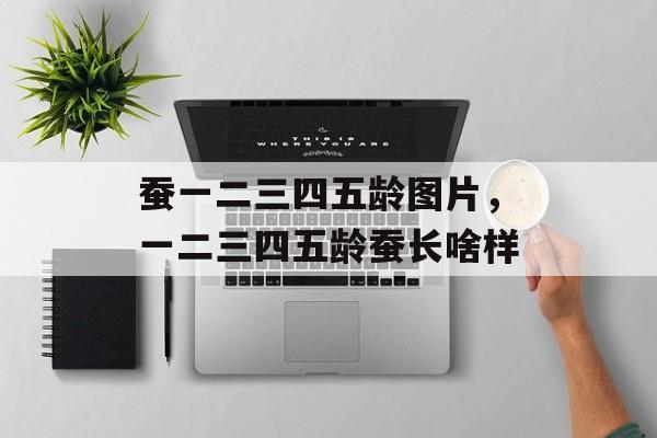 蚕一二三四五龄图片，一二三四五龄蚕长啥样-第1张图片-