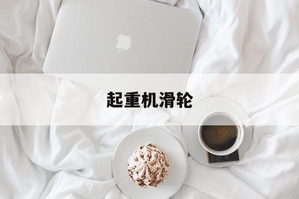 起重机滑轮-第1张图片-