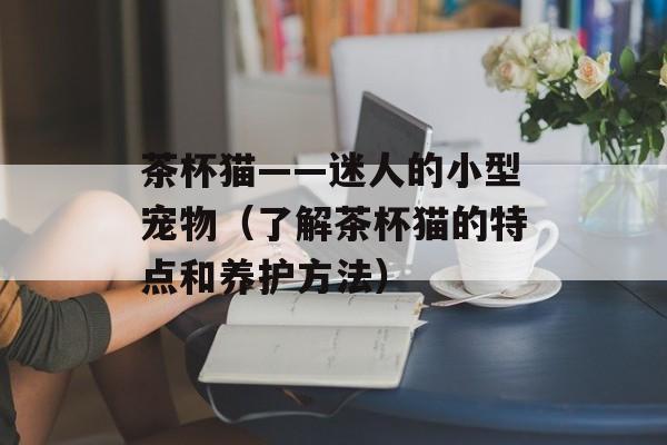 茶杯猫——迷人的小型宠物（了解茶杯猫的特点和养护方法）-第1张图片-