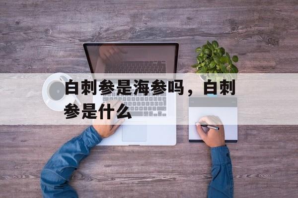 白刺参是海参吗，白刺参是什么-第1张图片-