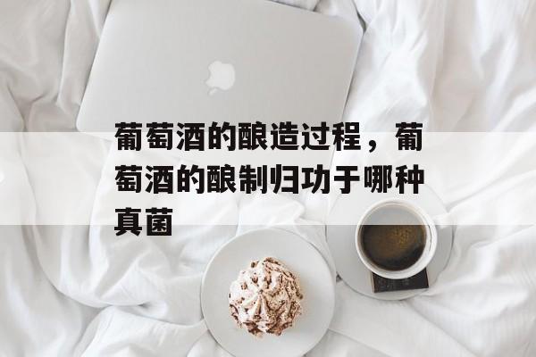 葡萄酒的酿造过程，葡萄酒的酿制归功于哪种真菌-第1张图片-