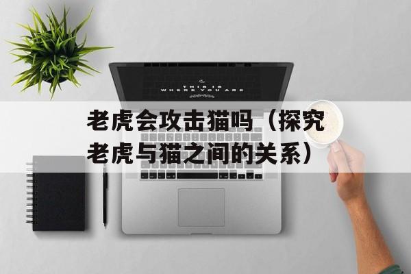老虎会攻击猫吗（探究老虎与猫之间的关系）-第1张图片-