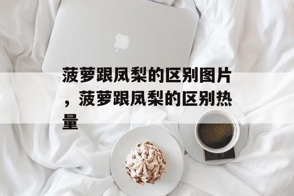 菠萝跟凤梨的区别图片，菠萝跟凤梨的区别热量-第1张图片-