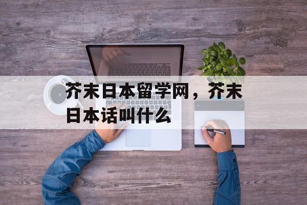 芥末日本留学网，芥末日本话叫什么-第1张图片-