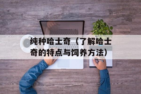纯种哈士奇（了解哈士奇的特点与饲养方法）-第1张图片-