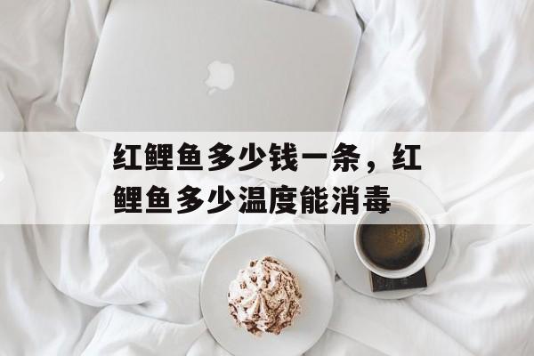 红鲤鱼多少钱一条，红鲤鱼多少温度能消毒-第1张图片-