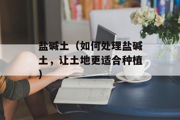 盐碱土（如何处理盐碱土，让土地更适合种植）-第1张图片-