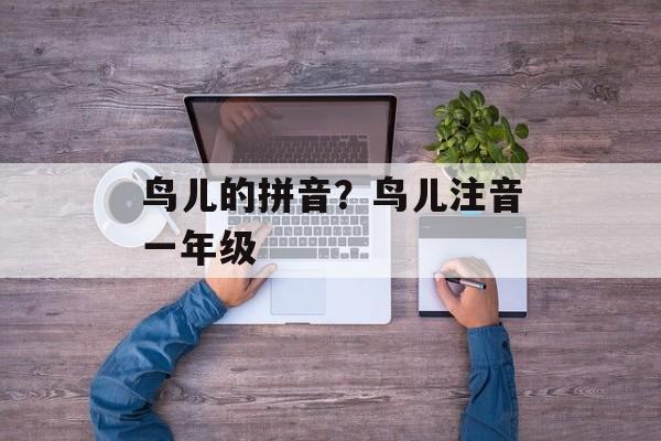 鸟儿的拼音？鸟儿注音一年级-第1张图片-