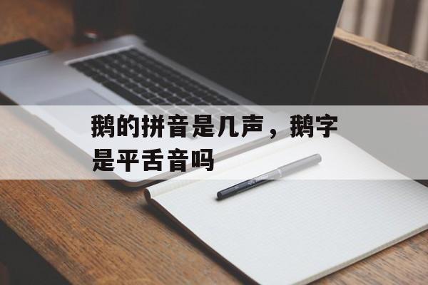 鹅的拼音是几声，鹅字是平舌音吗-第1张图片-