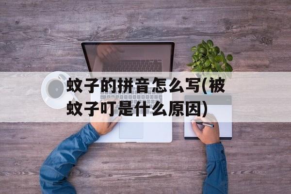 蚊子的拼音怎么写(被蚊子叮是什么原因)-第1张图片-