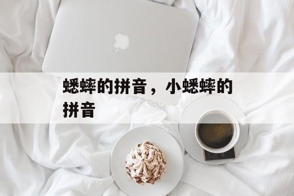 蟋蟀的拼音，小蟋蟀的拼音-第1张图片-