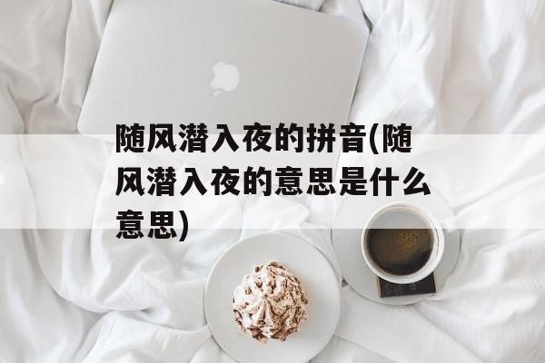 随风潜入夜的拼音(随风潜入夜的意思是什么意思)-第1张图片-