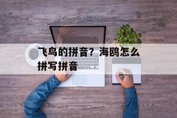 飞鸟的拼音？海鸥怎么拼写拼音-第1张图片-
