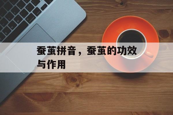蚕茧拼音，蚕茧的功效与作用-第1张图片-