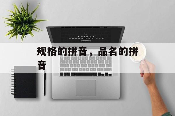 规格的拼音，品名的拼音-第1张图片-