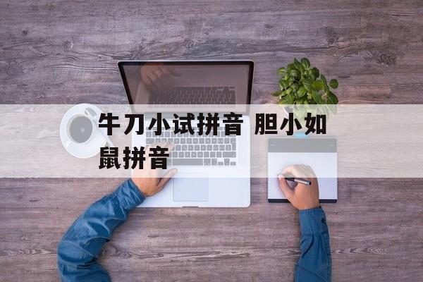 牛刀小试拼音 胆小如鼠拼音-第1张图片-
