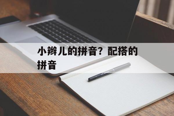小辫儿的拼音？配搭的拼音-第1张图片-