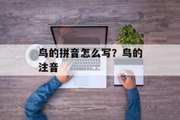 鸟的拼音怎么写？鸟的注音-第1张图片-