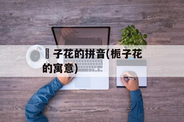 枙子花的拼音(栀子花的寓意)-第1张图片-