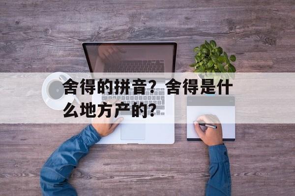 舍得的拼音？舍得是什么地方产的？-第1张图片-