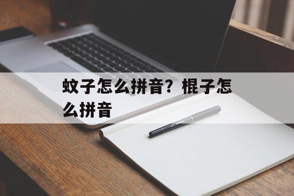 蚊子怎么拼音？棍子怎么拼音-第1张图片-